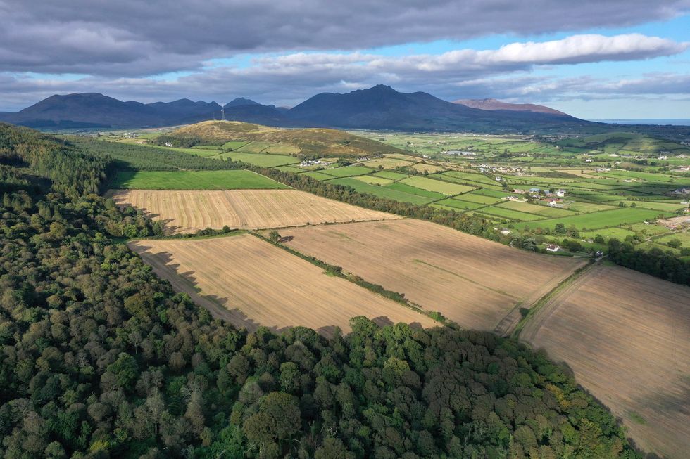 El Woodland Trust espera comprar otras 46 hectáreas de Mourne Park