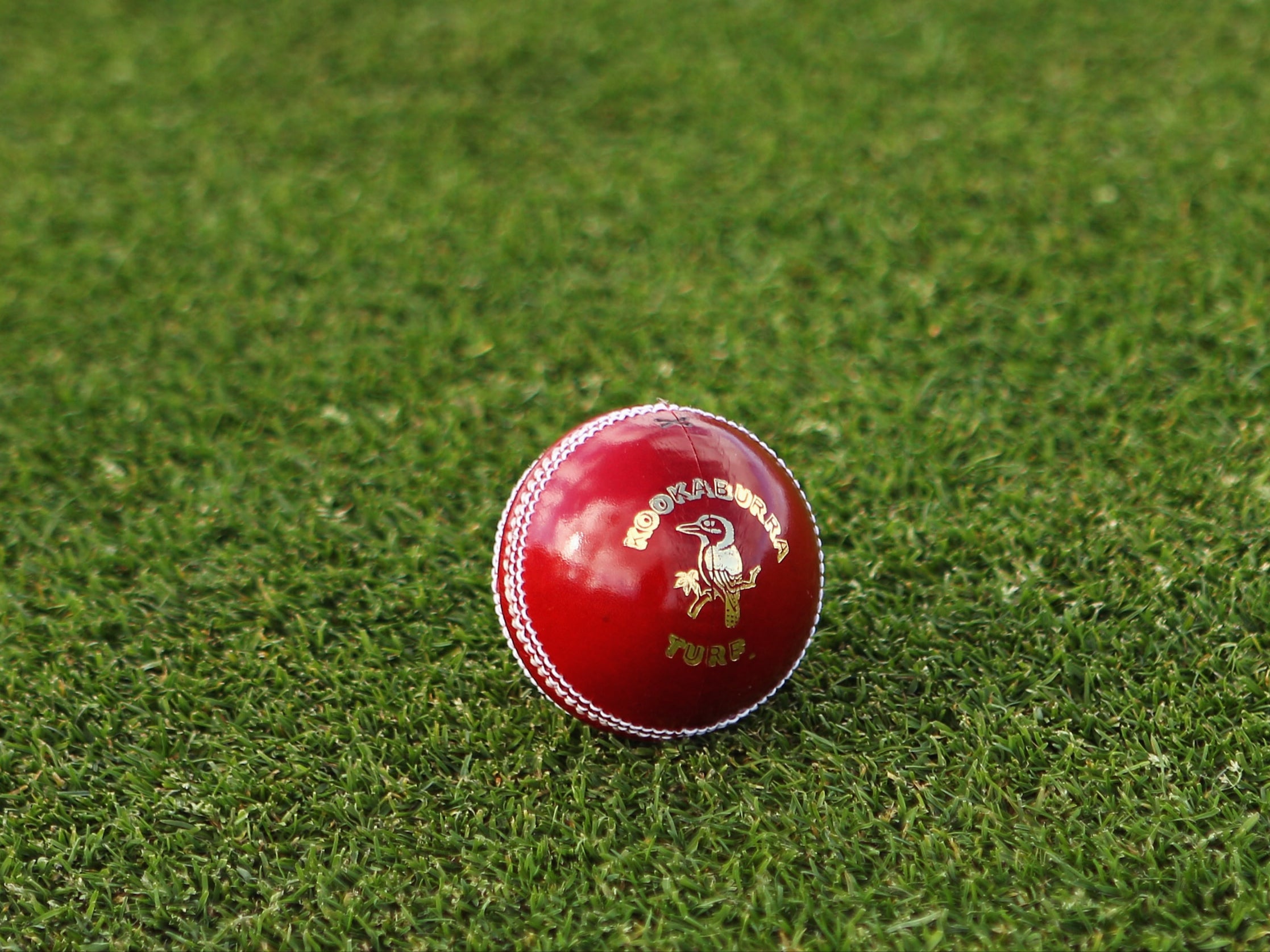 Una vista general de una pelota de cricket